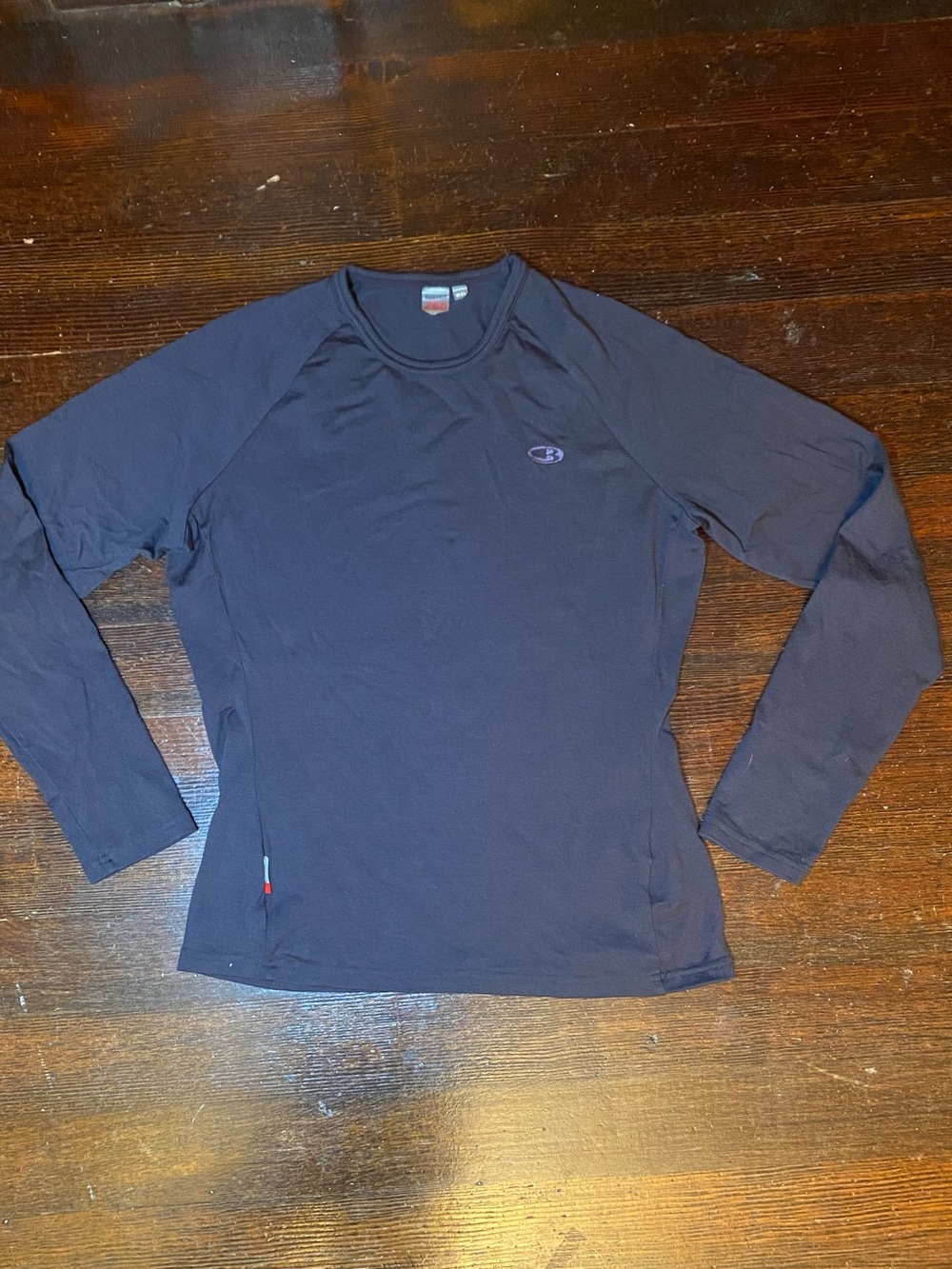 EUC Icebreaker 100% Pure Merino Wool 260 Bodyfit Slate Gray Long Sleeve Crewneck